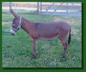 Lot # 22 ~ West Prairie Jenna